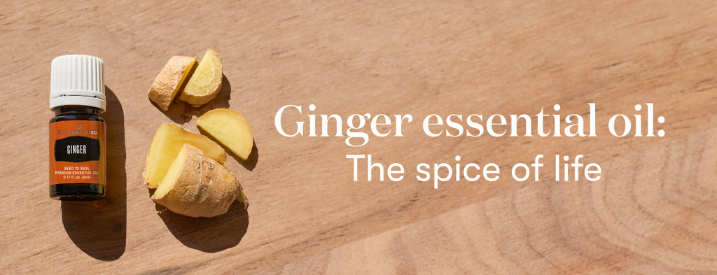 Ginger essential oil: The spice of life