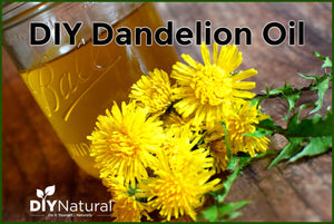 This DIY dandelion oil is excellent for relieving joint pain and sore muscles