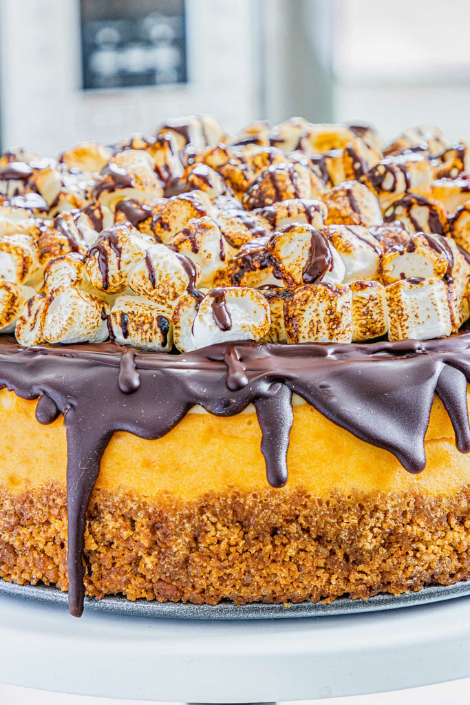 Instant Pot S’mores Cheesecake