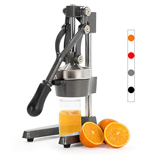 22 Best Manual Fruit Juicer | Manual Juicers
