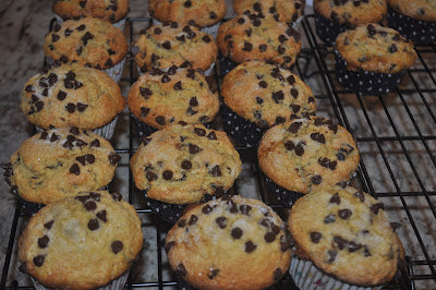 Chocolate Chip Muffins