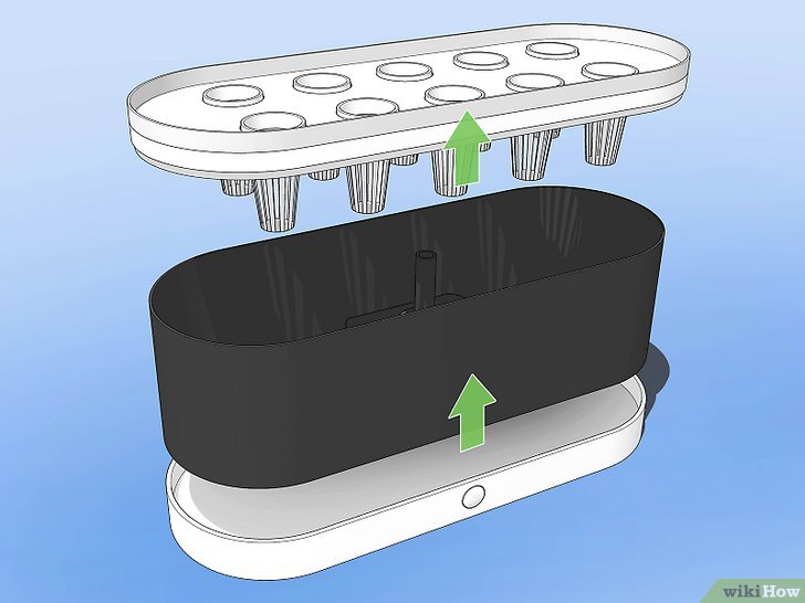 How to Clean an Aerogarden