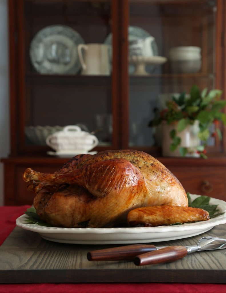 Turkey 101: Thanksgiving Tips and Techniques